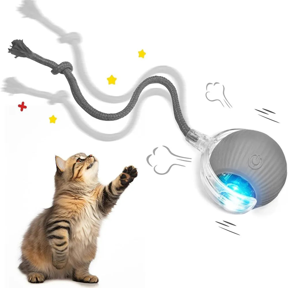 PELOTA INTERACTIVA PARA GATOS CON SOGA